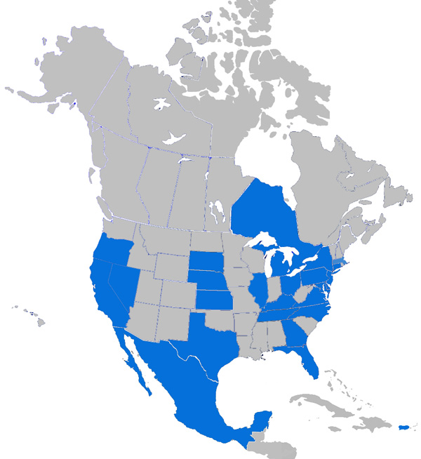 commercial roof consulting projects in North America